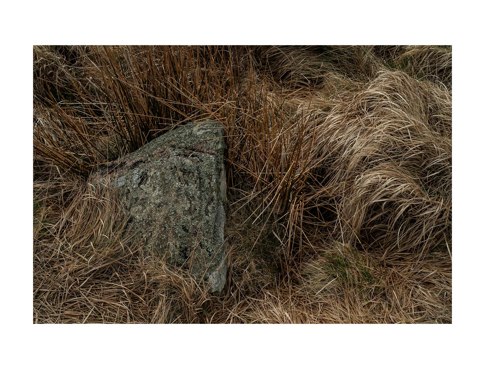 exmoor stone circle, @anthony lyons